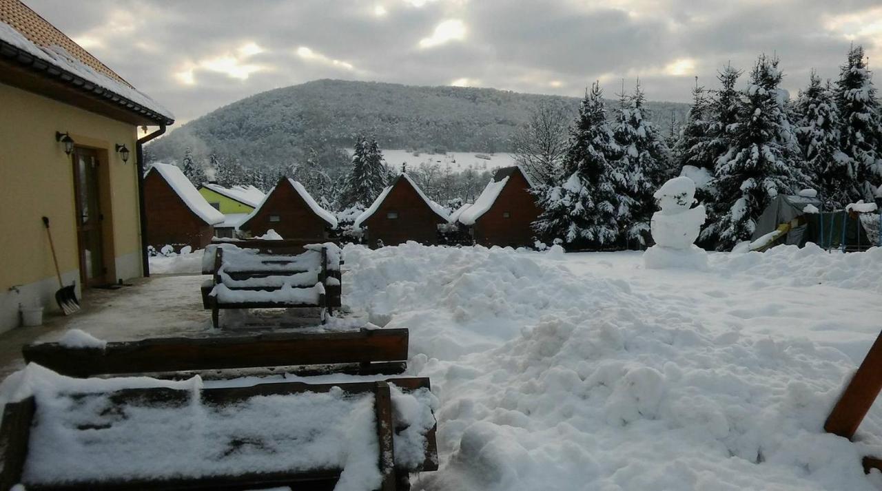 Vila Bobrowka Solina  Exteriér fotografie